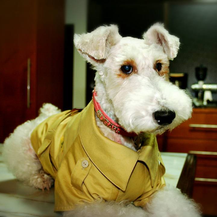 540f6452 5fa1 4390 aa6c 495798abd2c0