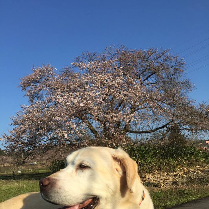 540f8032 25ad 42f9 865a 2f7ddd9aeae2