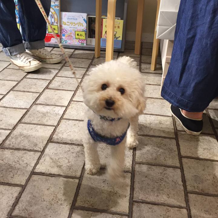 541092da 04dd 40cc a417 cb1c836435ba