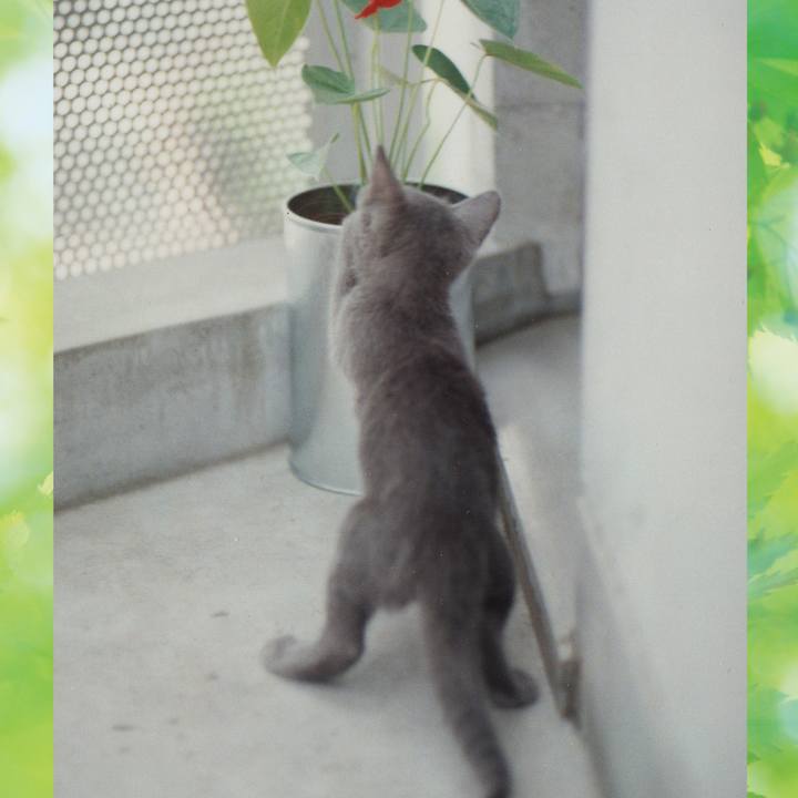 54113dc6 98e8 4074 8735 559451d9fe7c