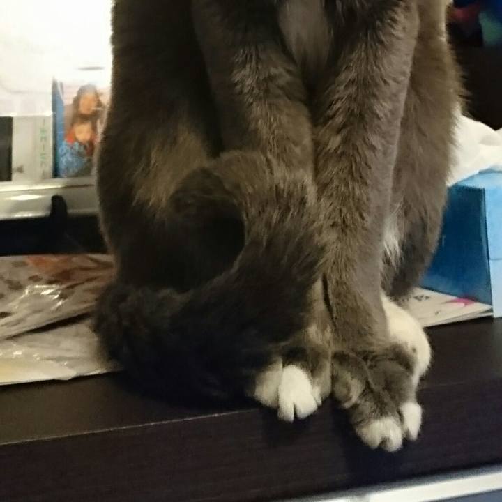 541210f7 8f2c 41cd a7b9 b55d62ff1661