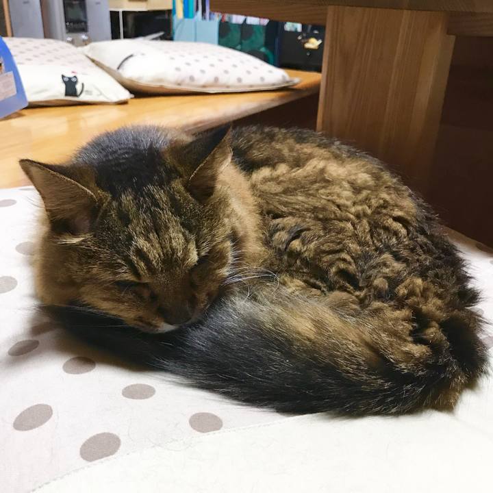 541223ea c97b 42f6 81a8 a6055595d334