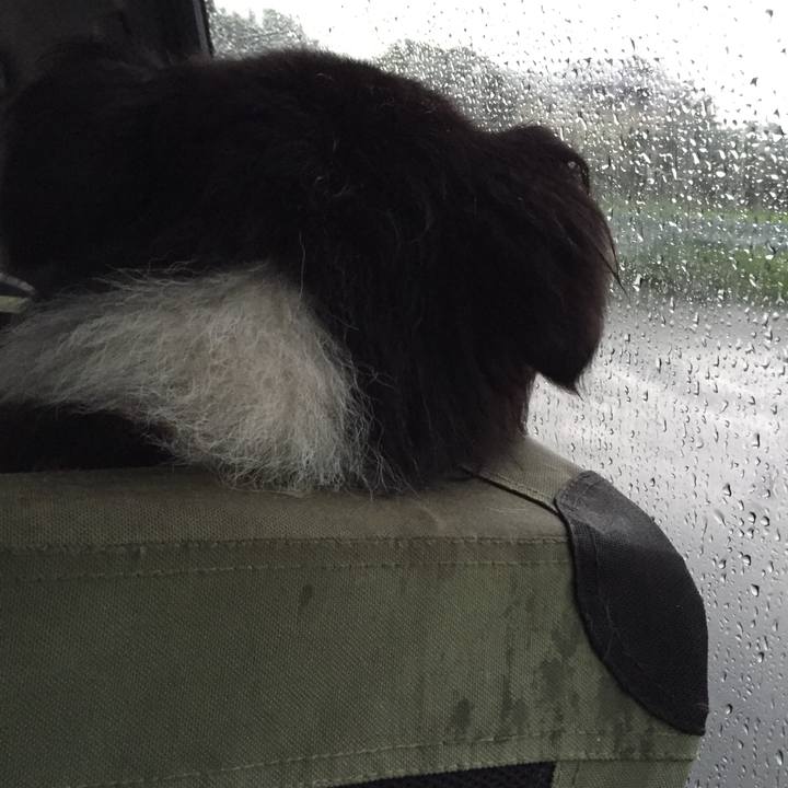 54129048 9da4 47e1 8d8c 5a44a39c7e9b