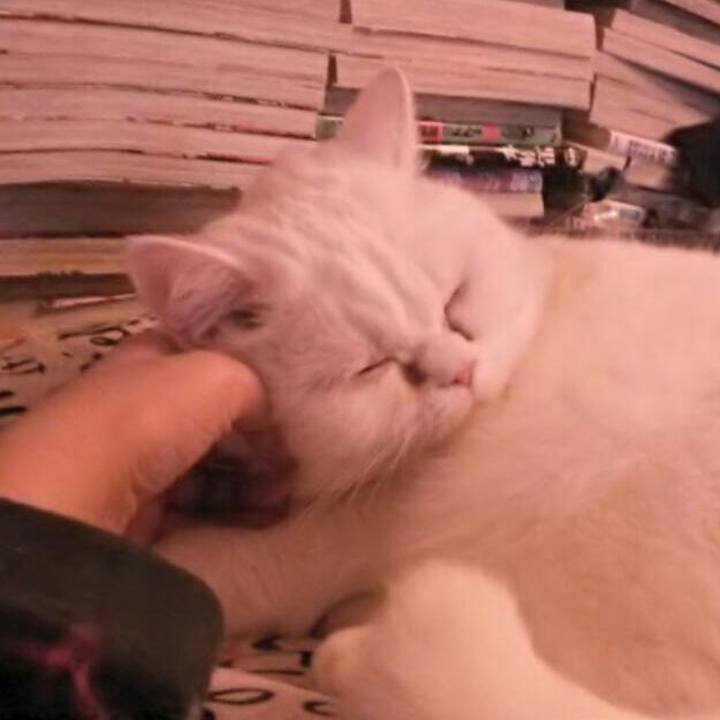 541299d8 9598 47da a0af d1312279de46