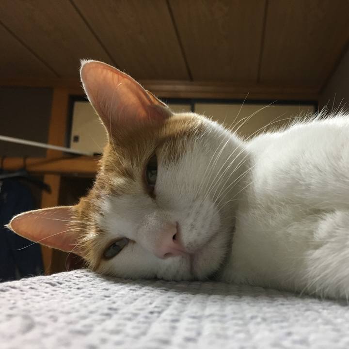 541311d5 82da 4019 b641 595417eca188