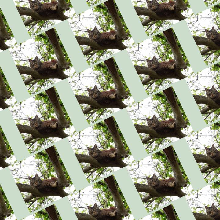 54134383 4f4a 4ac6 a747 cc3227a4f6d7