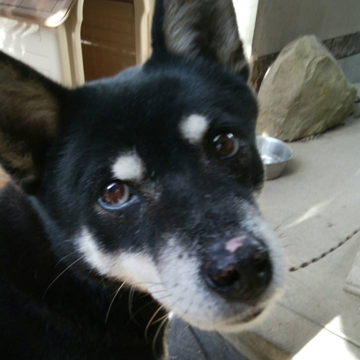 541388fd 2606 4126 b633 a2c6274b9a82