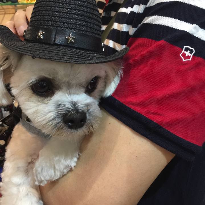 5413e8b0 93b0 42a5 8366 9db3dde74078