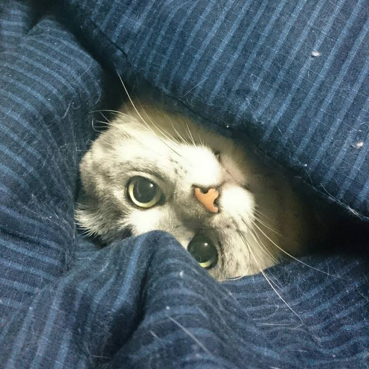 5413ed74 9f6c 4060 9a9b 2f793133bda3