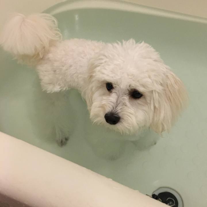 54141a48 f238 48be b2d2 b8fc65a80edd