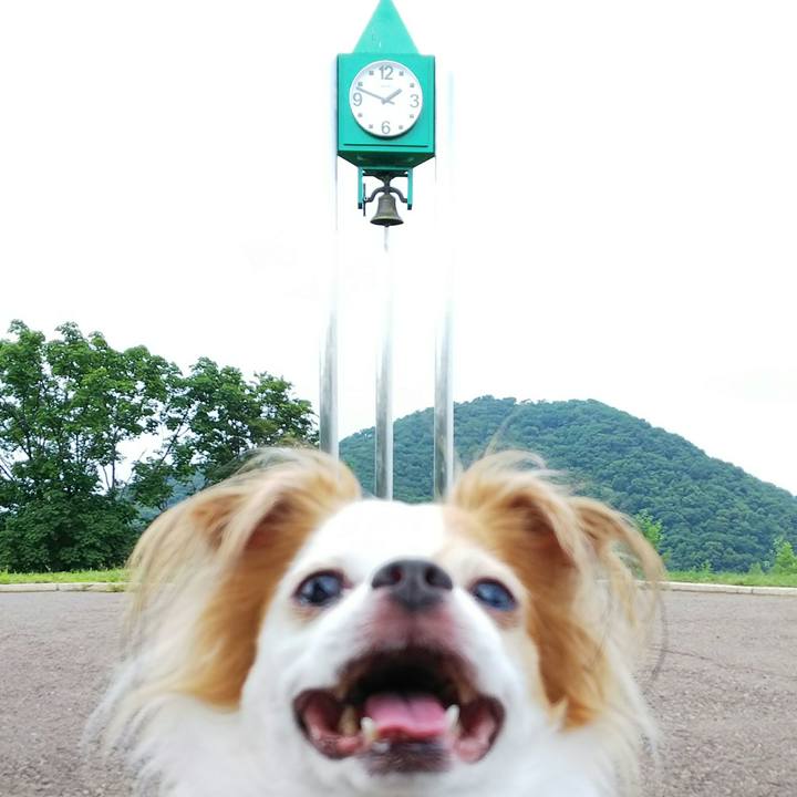 54142611 6753 49b6 bbf2 955e69610b05