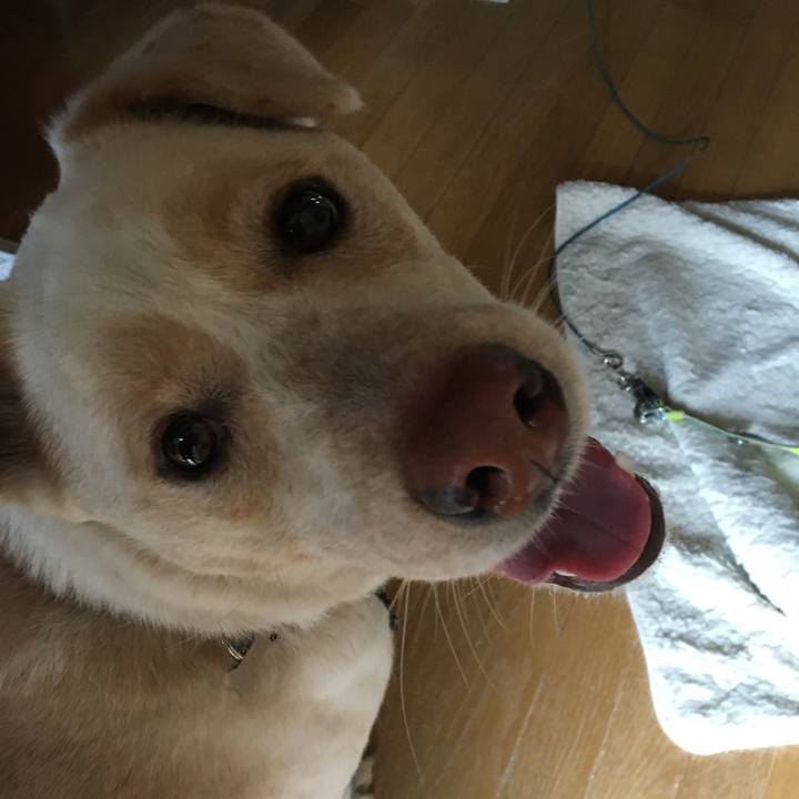 54146dcb b98f 4a99 835b a4bd1131e163