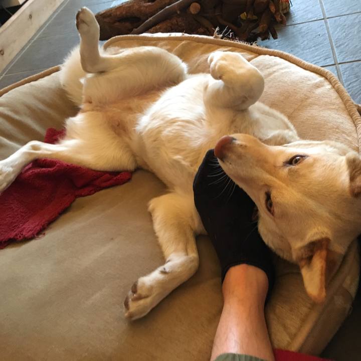 54148100 5040 4c25 9538 a7ec6f1f966a