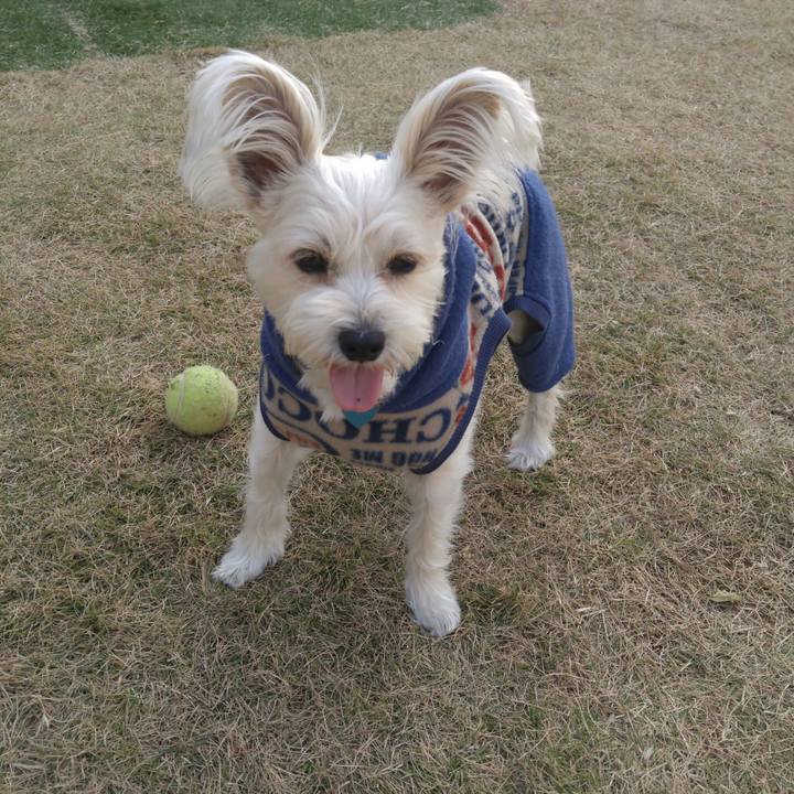 54151025 362c 4490 b903 c82262449b85