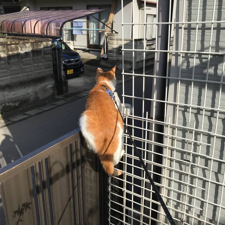 54155a26 daac 4a7c 8813 de22a423471b