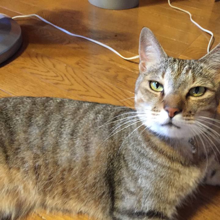 54156177 f1cb 44f8 a2e3 83fe9c41f8ff