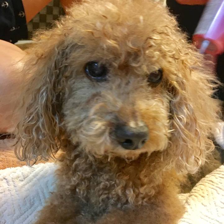 5415a17b 4b1a 4f22 aec7 398340b53705