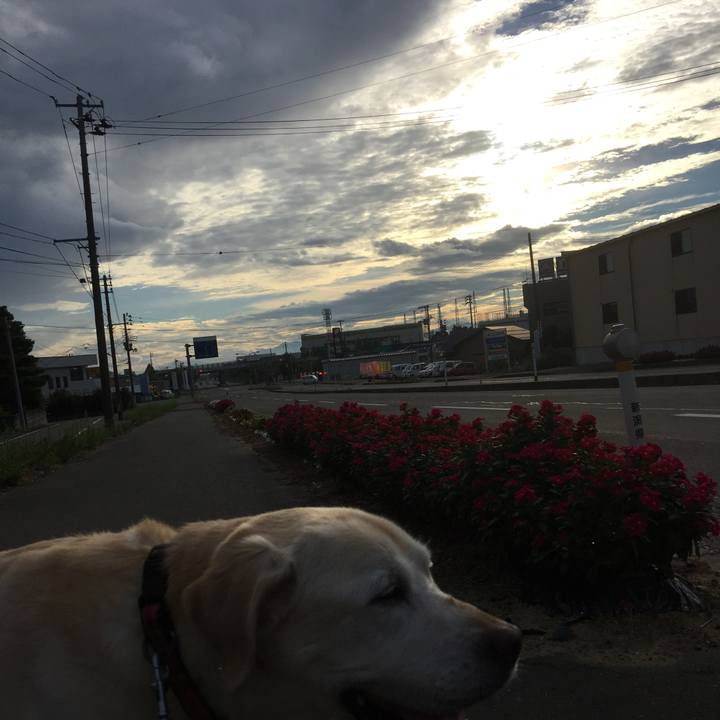 5415ebaf e7e6 4e35 8cff 30578db77705