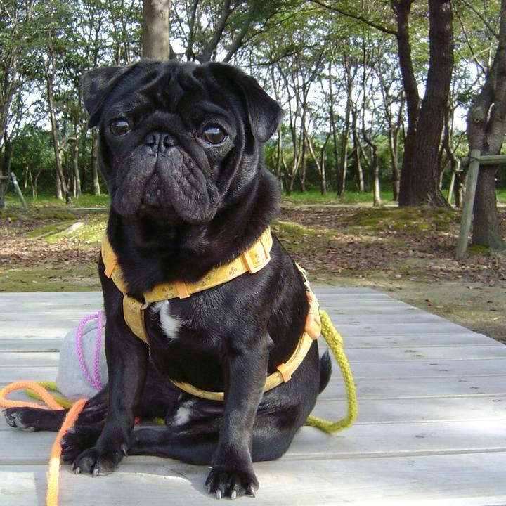 54163d4f 9259 4aa7 8041 3193c0302a8c