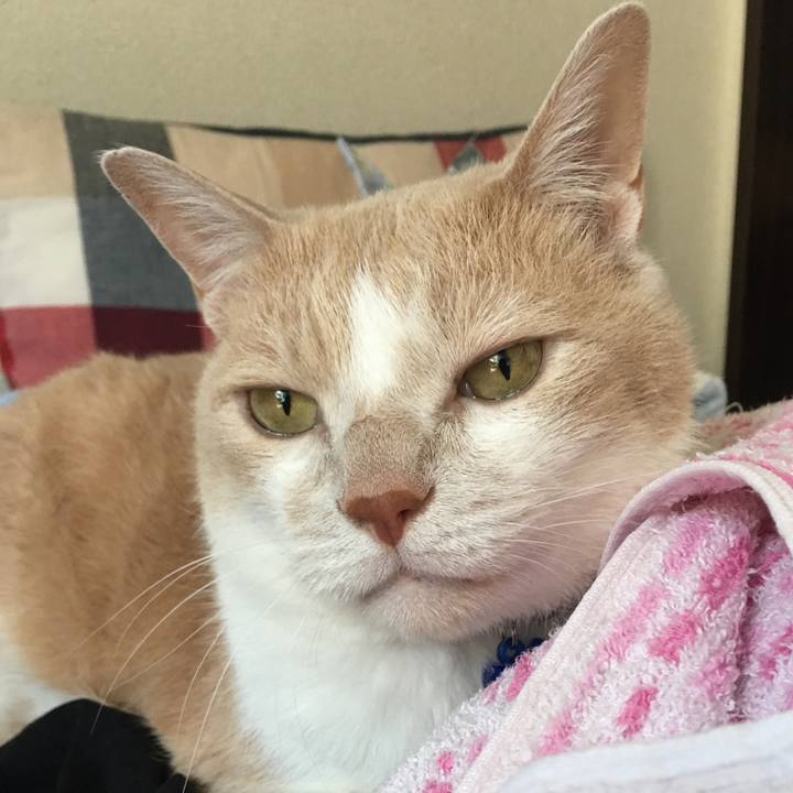 5417317a 5cfe 4419 9613 2426615dd78b