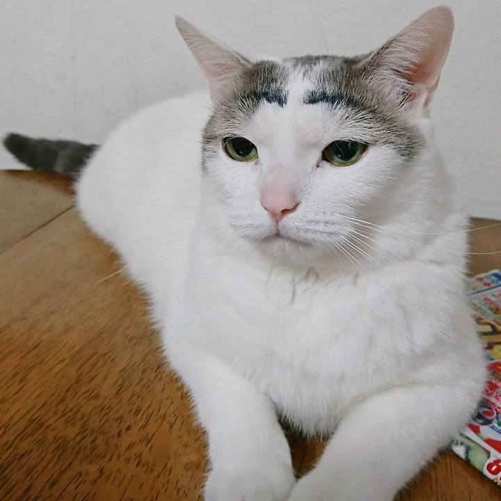 54176c6d a393 4a2b 8852 6b14cf26a7fd