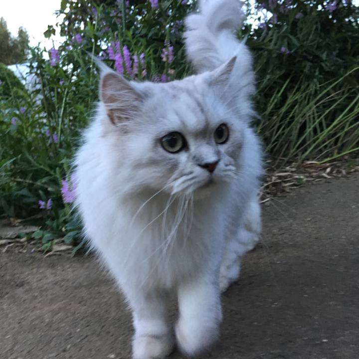 5417f98c ebfe 4fec b72a 84c47503417e