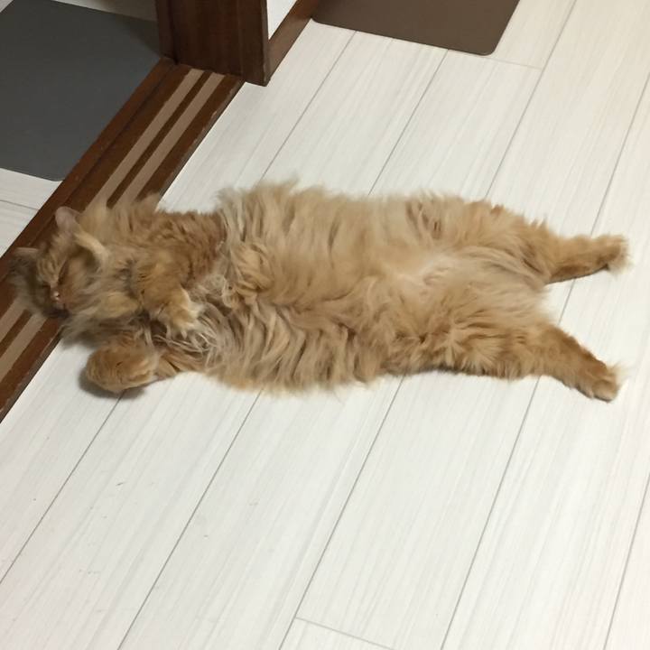 54182529 bc7e 4c51 b74b 495abf1cf2af