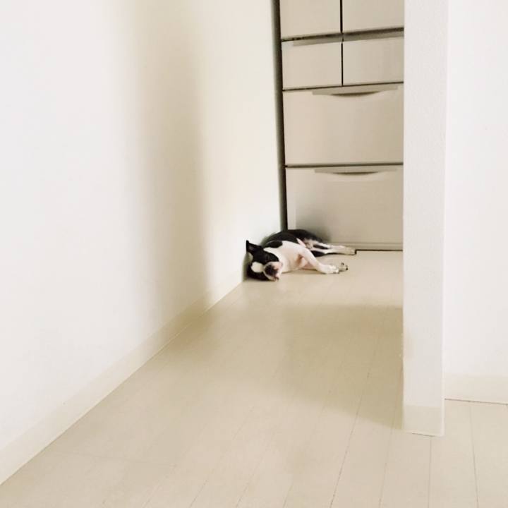 54184ec8 ccb9 459f 89e1 84510f0a112f