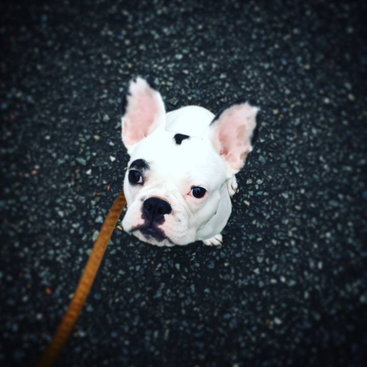 5418dadd 4b13 4f85 85e8 5a376d92d82c