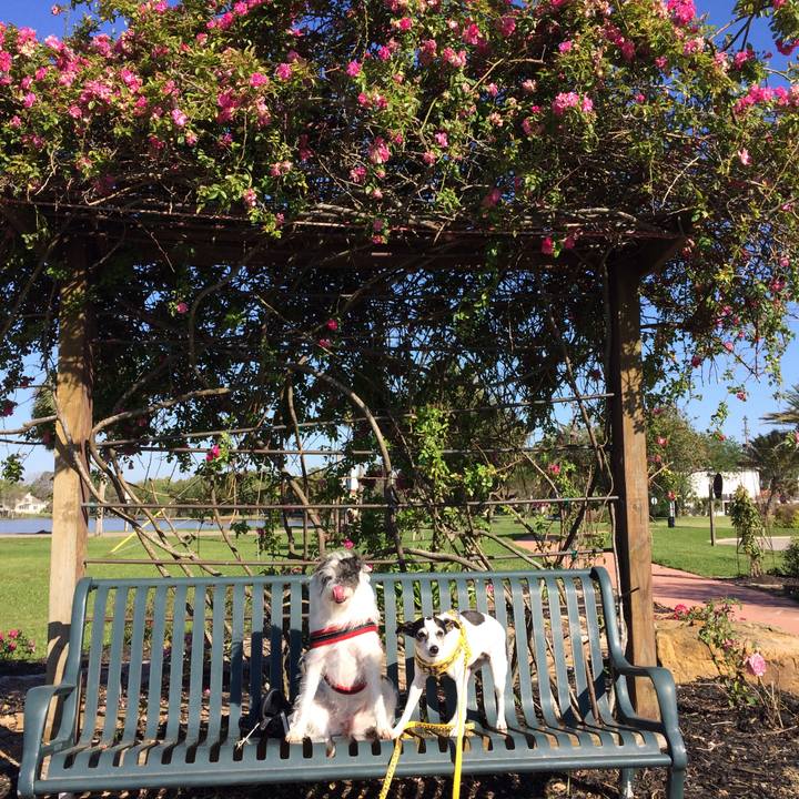 541956c9 0f3c 4a33 b972 fb21b40dab2a