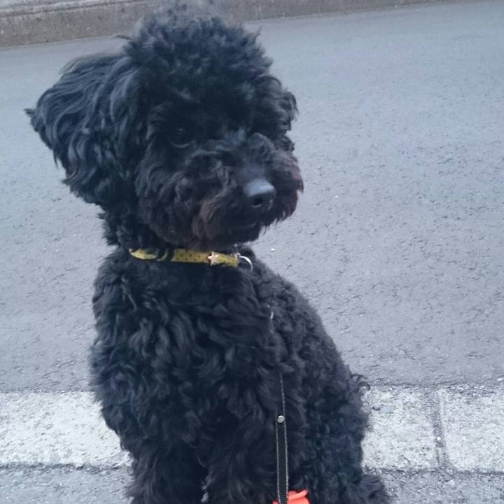 5419fc78 cf54 4879 a76d 6e931e7d2ea4