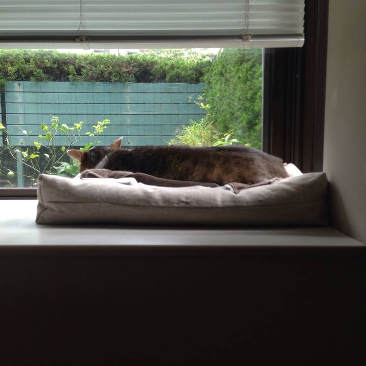 541a0446 c1cf 48bf 9ce7 9fed0eadf532