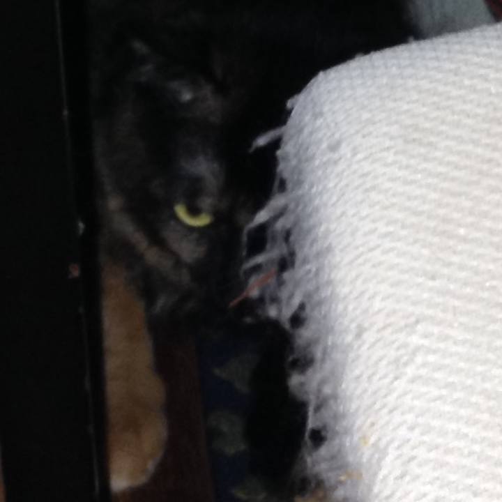 541a1e50 82c2 4121 8b35 181e51a211a3