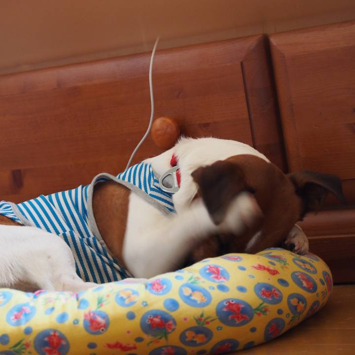 541aff5b df09 49e6 9e2d e93794eb6d92