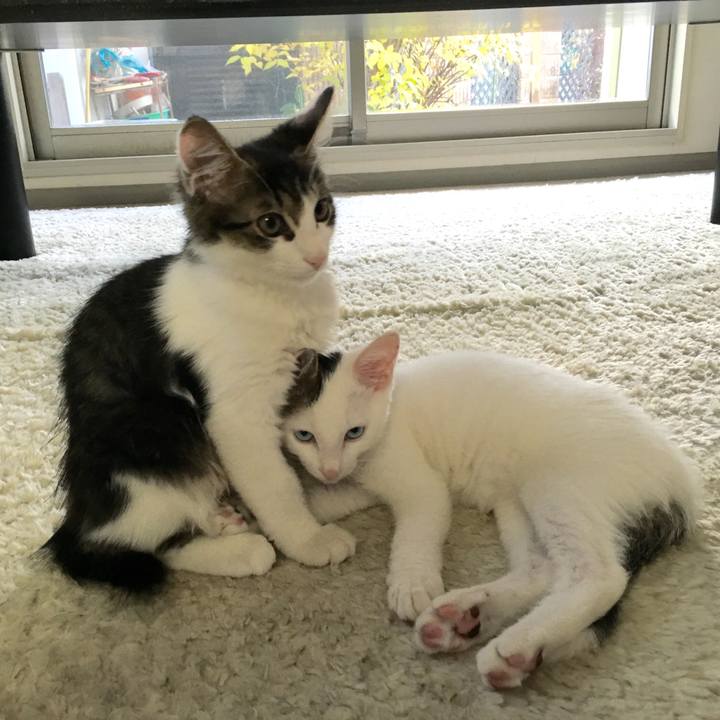 541b491f d675 4a9a b0fd 3cfa2d779a10