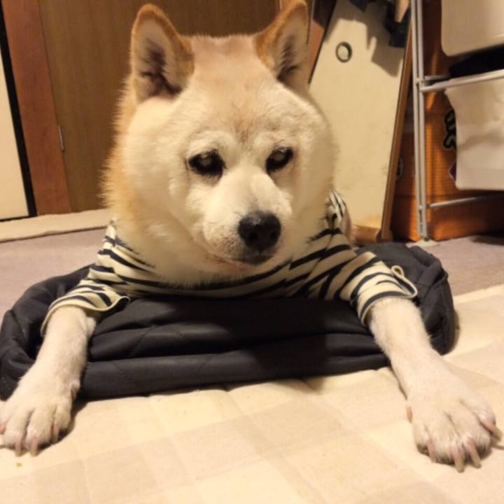 541bef15 5edc 4d1b b783 df9d34e373ea