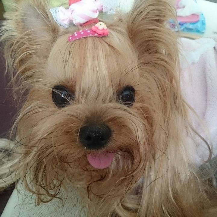 541bf642 915c 4a06 afc1 cb4fb16b8b79