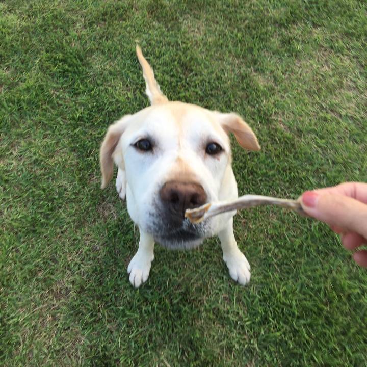 541c496f 3714 4af4 b9d5 c7882cca5550