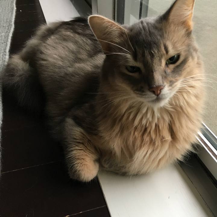 541cd972 f264 401d 92af 701f6a079b53