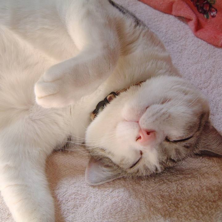 541d39ba 86ec 4924 8a47 1f4542712ca1