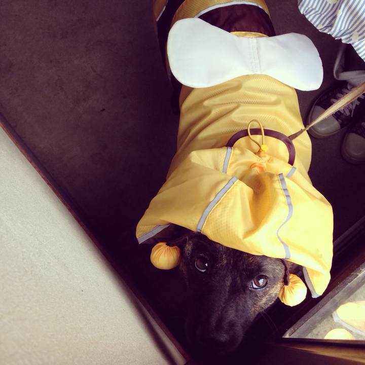 541d86c5 1afb 4243 938a 9d30f6ad0490