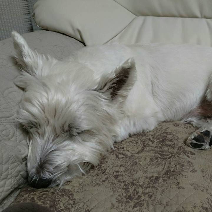 541d8834 681f 4843 8fdf 1955c4b6318d