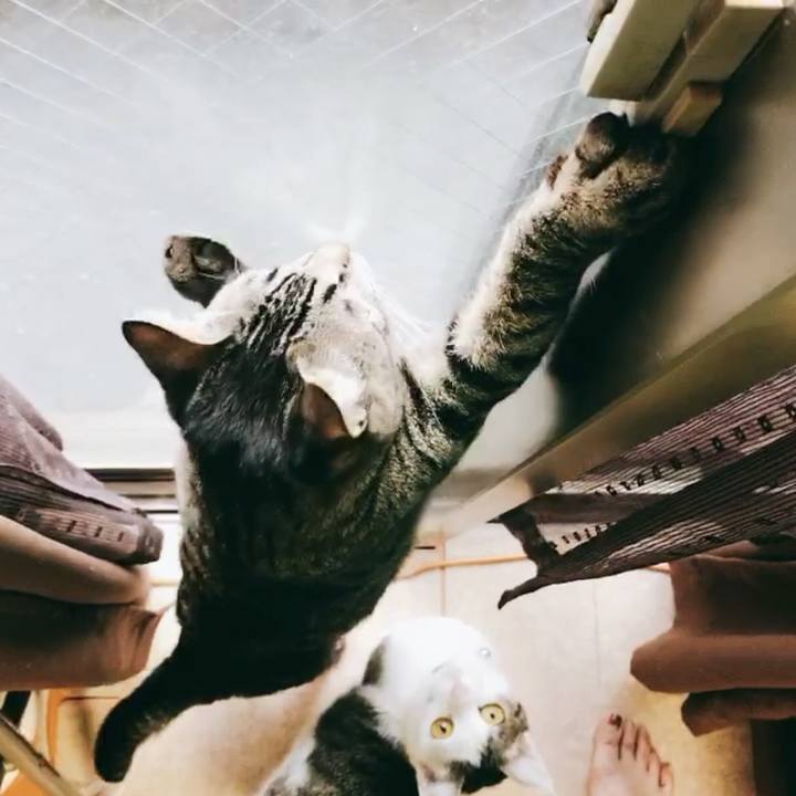 541da4a3 9bd5 49f8 bf7e e258cbdb1649