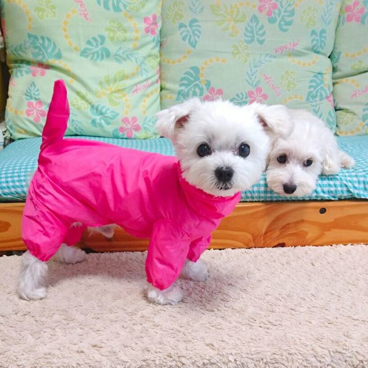 541ddcf3 a89d 4c4b b8c5 41f07a66bb3d