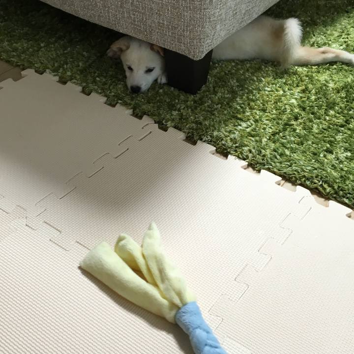 541e7770 e4de 4fff a47f 4f76d553461c