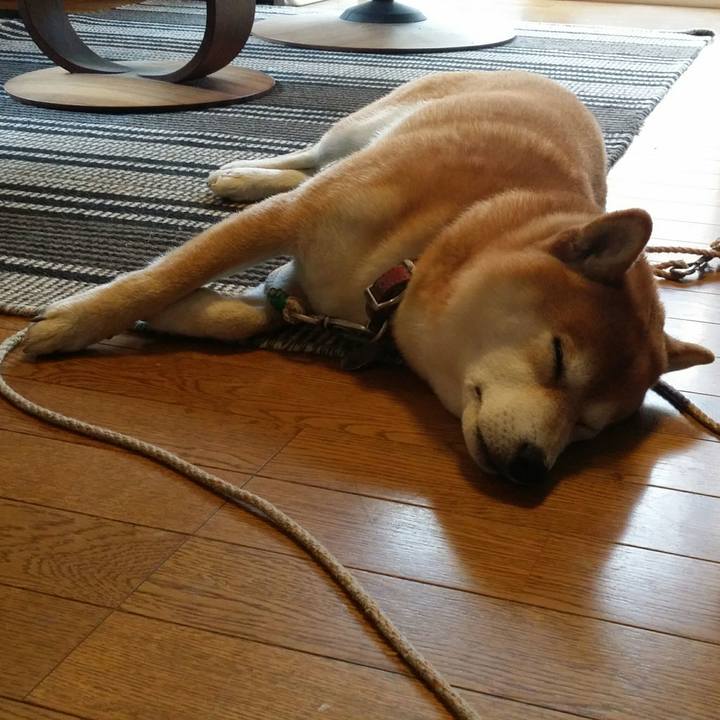 541ee92d ea41 4ab0 b5f6 a97d3b831cd0