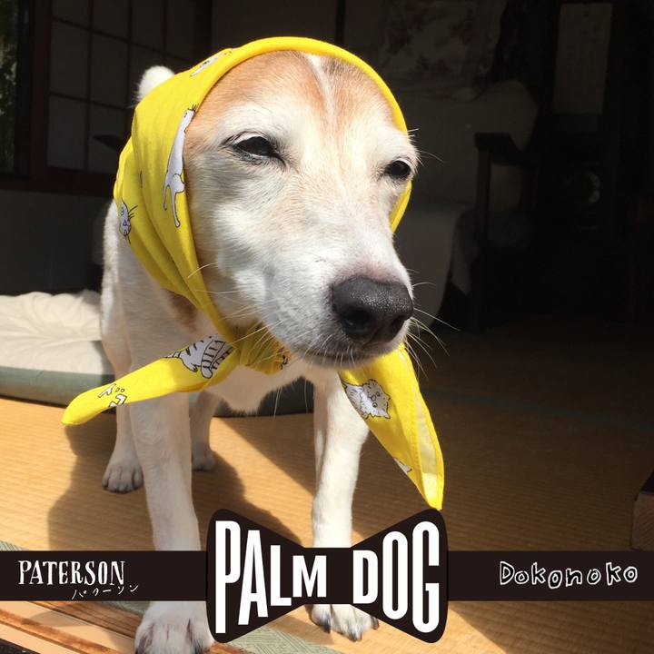 541f1958 3fdc 4dda 8cb6 ae2f20d77ec3