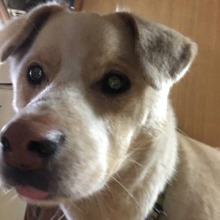 541f4859 25ba 4e64 a522 ea7bec5db38e