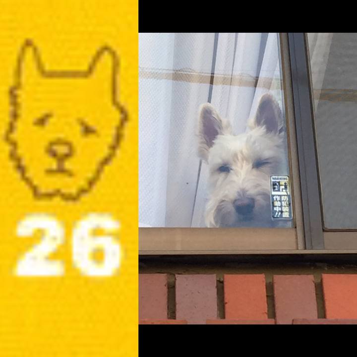 541f54a8 bfac 48e0 b61c d7aaa3469e8d