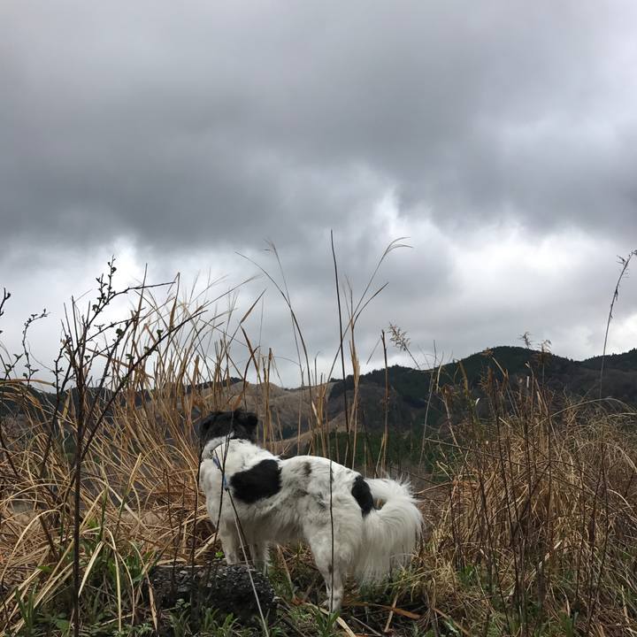 541fc491 b975 45cd b6c9 d7764741bb17